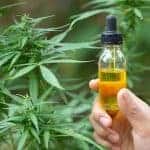 CBD and Wellness Retreats